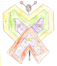 immagine che porta alla pagina delle forme geometriche
