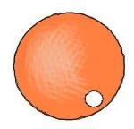 immagine di una perla arancione