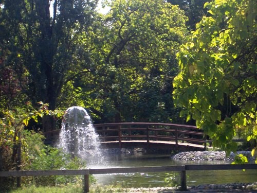 fot del laghettto
